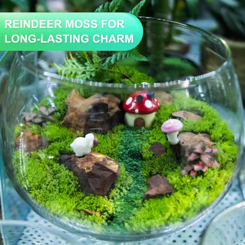 Miniatura 5 de uxcell Musgo de reno preservado, musgo falso de 4 onzas para manualidades, musgo seco artificial para decoración, manualidades, terrarios, plantas
