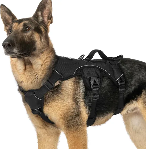 Miniatura 51 de rabbitgoo - Arnés para perro a prueba de fugas, arnés para mascotas acolchado suave de cuerpo completo, chaleco reflectante ajustable sin tirones