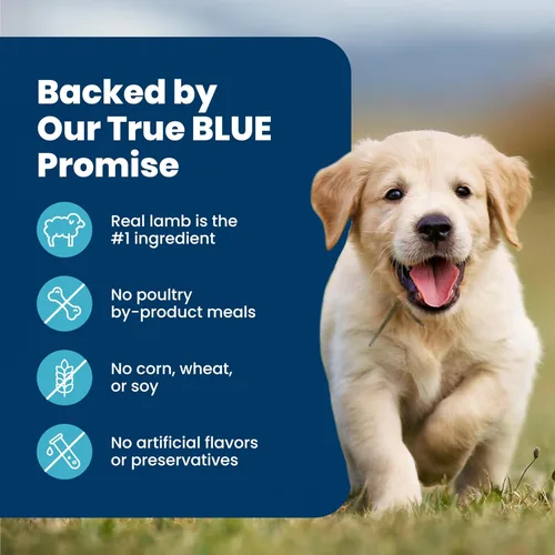 Miniatura 6 de Blue Buffalo Life Protection Formula - Alimento seco para cachorros con DHA y ARA, hecho con ingredientes naturales, receta de cordero y avena