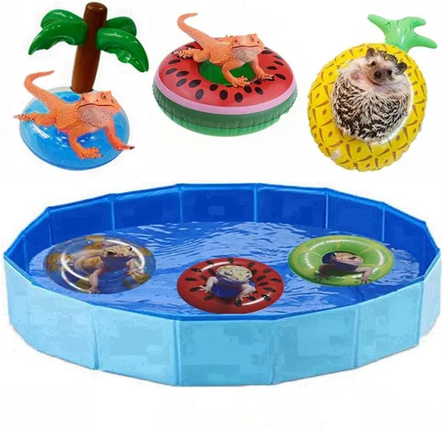 Miniatura 11 de Piscina plegable plegable de lagarto para baño y refrigeración, bañera duradera, lavadora de agua para dragones barbudos, erizo, hámster y animales