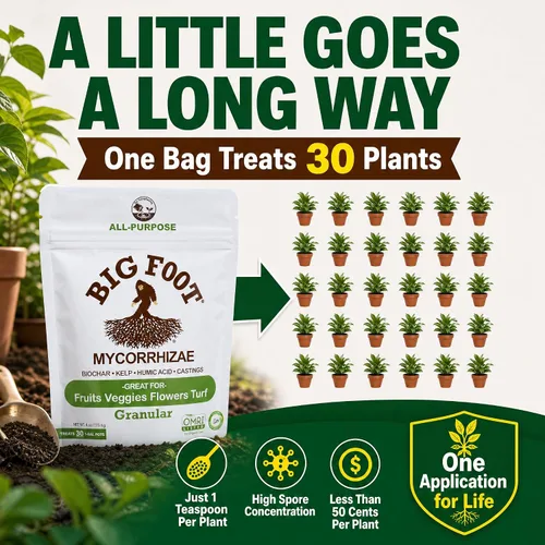 Miniatura 4 de Big Foot Micorrizas – Duplica el tamaño de tu planta – Fácil de usar – Fabricado en Estados Unidos – Trata 30 plantas (7,500 esporas de micorrizas)