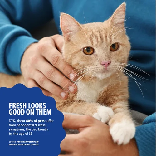 Miniatura 4 de Aditivo para agua Dental Fresh para gatos, sabor a atún para el cuidado dental – Cuidado oral fácil, dientes más limpios, aliento fresco y apoyo