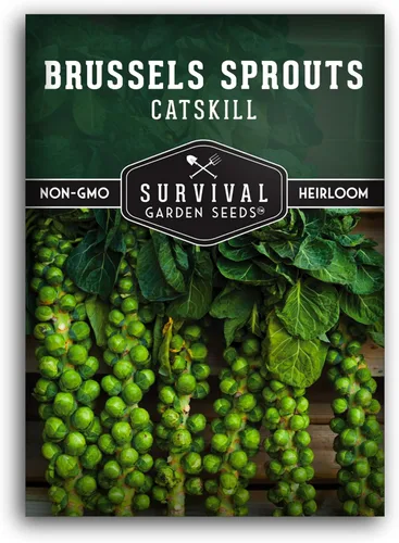 Survival Garden Seeds - Semillas de coles de Bruselas Catskill para plantar - Paquete con instrucciones para plantar y cultivar sabrosas verduras