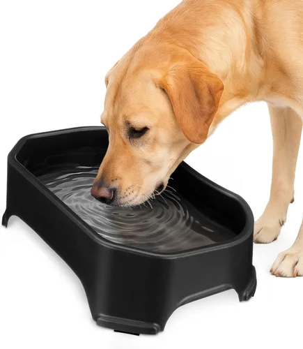 Miniatura 11 de Neater Pet Brands Cuencos para gatos de gran capacidad, cuenco de agua para gatos, reptiles, pollos, aves y animales pequeños, cuenco de comida