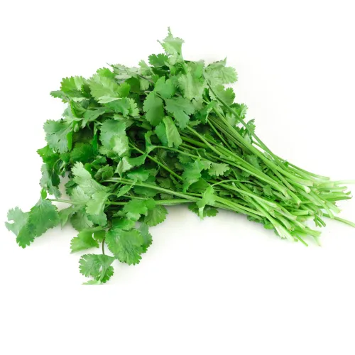 Miniatura 5 de Semillas de cilantro (Ocio) (300 Semillas)