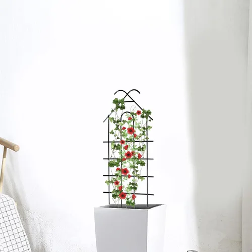 Miniatura 8 de ARIFARO Enrejado de metal de 24 pulgadas para plantas trepadoras, paquete de 4 enrejados para plantas en maceta, enrejado negro para interiores