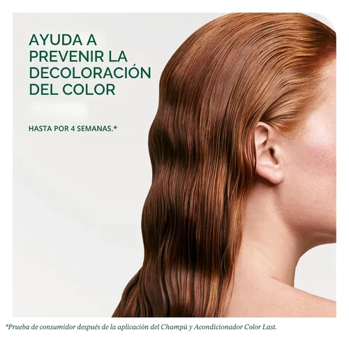 Miniatura 4 de Biolage Acondicionador Color Last - Protege y preserva el cabello tratado con color, hidrata y repara el cabello dañado, aporta brillo, vegano, sin