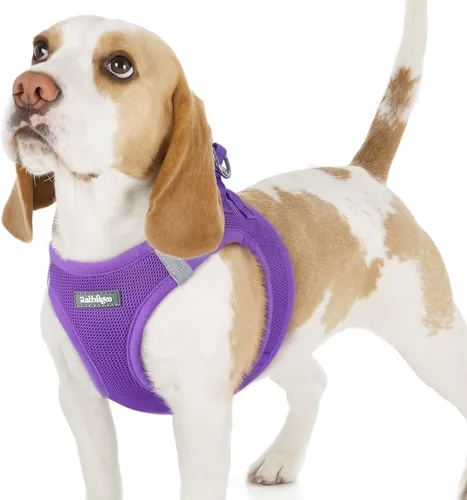 Miniatura 111 de rabbitgoo Arnés para perro pequeño, chaleco de malla suave para cachorros con hebilla de seguridad, arnés reflectante transpirable para mascotas