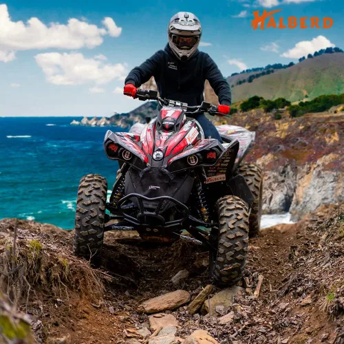 Miniatura 2 de HALBERD Neumáticos para ATV, 24x8-12 y 24x10-11 6PR 24x8x12 24x10x11 Todo Terreno ATV UTV Neumáticos todoterreno para Honda Fourtrax Rancher TRX400