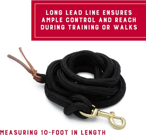 Miniatura 3 de Cuerda de Guía Weaver Equine Performance, Cuerda de Guía Larga para Caballo con Enganche Rápido para Cabestro, Agarre Suave y Cómodo, Equipo de Negro