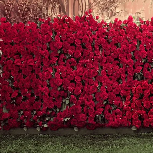 Miniatura 5 de AOFOTO Fondo de fotografía infantil de 5 x 7 pies para sesión de fotos para niños, romance, rosas rojas, flores, pared, suelos de hierba borrosa