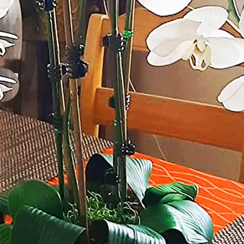 Miniatura 7 de Yowlieu 20 estacas de bambú natural + 1 rollo de lazos de jardín, palos de bambú de 18 pulgadas, estacas de apoyo para plantas de interior, tomate