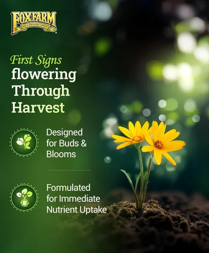Miniatura 4 de Fox Farm Fertilizante de Nutrientes Líquidos para el Suelo Trío: Tiger Bloom, Grow Big, Big Bloom Botellas de un Galón - (Paquete de 3 - 1 Galón)