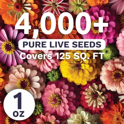 Miniatura 2 de Zinnia Crazy Blend - Paquete grande de 1 onza - 4,000 semillas de flores para plantar - Zinnia elegans