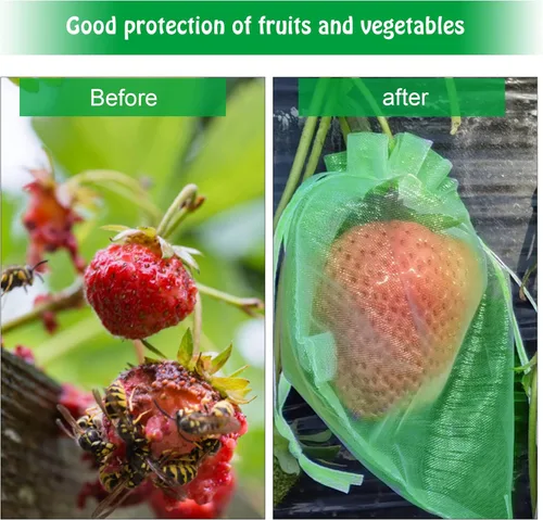 Miniatura 3 de 100 bolsas de protección de frutas verdes de 6 x 8 pulgadas, bolsas de malla para frutas con cordón, bolsa de malla para proteger las plantas