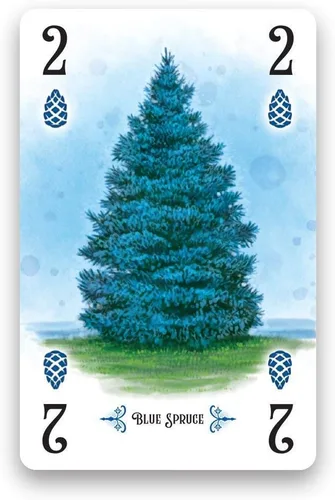 Miniatura 8 de Renegade Game Studios Juego de cartas de estrategia Arboretum que desafía a 2-4 jugadores de 8 años en adelante a crear el jardín más hermoso
