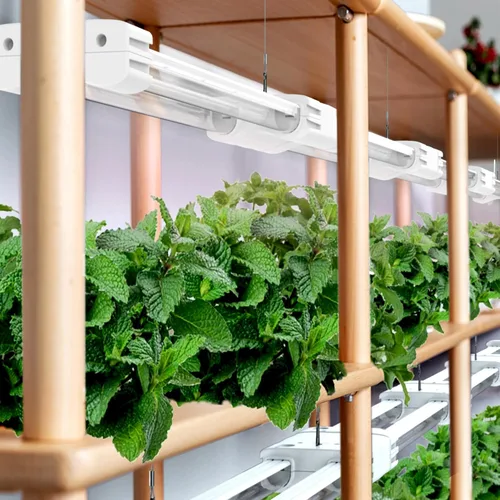 Miniatura 4 de Luz LED de crecimiento de espectro completo modular enlazable 5000K luz diurna + 660 nm lámpara de iluminación roja para plantas