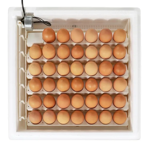Miniatura 6 de Farm Innovators 4250 Incubadora digital de aire circulado con calefacción (encubadora para huevos) con girador automático de huevos para mejorar