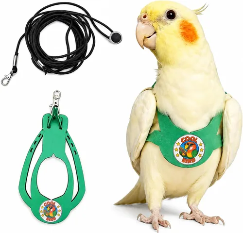 Miniatura 9 de Juego de arnés ajustable y correa para pájaros pequeños, apto para periquitos, conures, cacatúas, mejillas verdes, loros cuáqueros (verde, XS) 6350-6