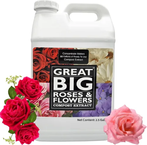Great Big Roses - Potenciador de fertilizante de suelo y rosas para cultivar las mejores rosas y flores; extracto de compost de alimento para rosas