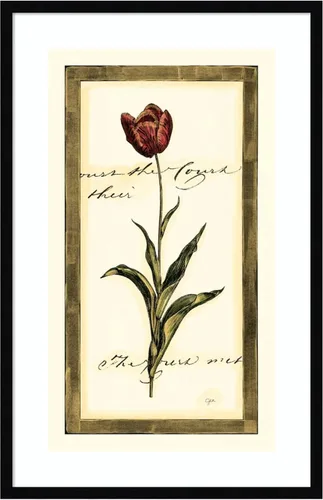Miniatura 14 de Amanti Art Impresión artística enmarcada para pared, 17 x 25 pulgadas, diseño de tulipán I de Vision Studio, póster enmarcado para decoración