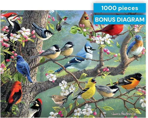 Miniatura 7 de Buffalo Games Hautman Brothers - Birds in an Orchard - Rompecabezas de 1000 piezas para adultos - 26.75 x 19.75 pulgadas, póster incluido - Piezas