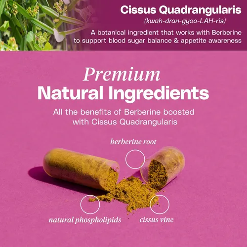 Miniatura 6 de Suplemento de berberina de primera calidad, composición corporal, 60 cápsulas - con Cissus Quadrangularis y fitosoma de berberina - Apoya