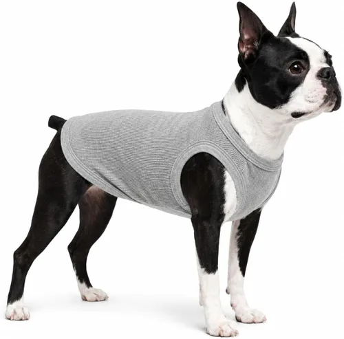 Miniatura 64 de Lovelonglong Ropa para mascotas de verano 2019, ropa para perro, camisetas en blanco, camisetas acanaladas, chalecos de hilo superior para perros