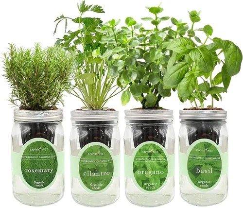 Miniatura 11 de Kit de cultivo de hierbas hidropónicas, tarro de masón de riego automático, kit de inicio de jardín de hierbas para interiores, cultiva 4 tipos