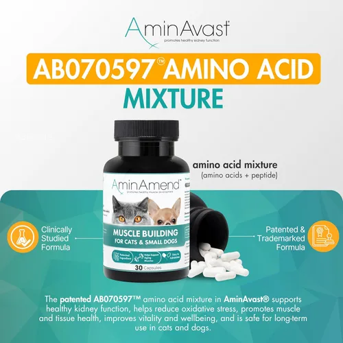 Miniatura 3 de AminAvast Apoyo renal para perros pequeños y gatos - Promueve el apoyo renal saludable en gatos y perros pequeños - 300 mg, 60 cápsulas