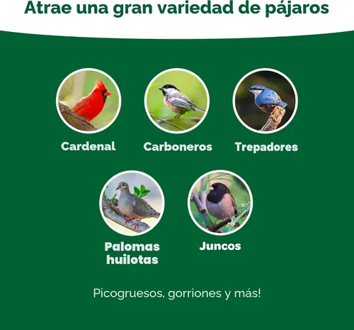 Miniatura 3 de Kaytee Essentials Blend with Black Oil Sunflower, maíz agrietado y mijo, semillas de alimento para aves silvestres para cardenales, arrendajos