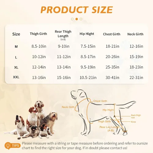 Miniatura 6 de Perro Acl Brace pata trasera – Mantiene las articulaciones calientes y protegidas, piernas y caderas ajustables mejoradas, juego de arnés