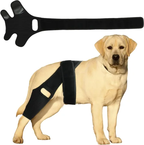 Rodillera ajustable para la pierna del perro, rodillera de soporte de rodilla con barra de soporte de metal, soporte de cadera para pierna de perro