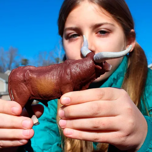 Miniatura 4 de Safari Ltd. Watusi Figura de toro – Figura detallada de vaca de plástico de 6 pulgadas – Juguete educativo de animales de granja para niños, niñas
