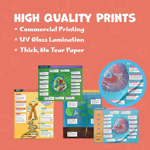 Miniatura 2 de Hubble Bubble Kids Carteles de ciencia para decoración de aulas: 4 carteles de biología incluyen póster de ADN, fotosíntesis, células vegetales