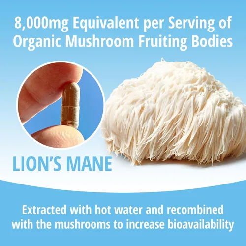 Miniatura 7 de ENCAPSULATE Lion's Mane Cápsulas Extracto 8:1 – Extracto de hongo orgánico 8:1 cuerpo fructífero de primera calidad – Suplemento de hongos