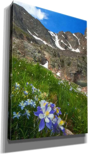 Miniatura 2 de Epic Graffiti 'Alpine Columbine - Parque Nacional de las Montañas Rocosas' por Darren White, arte de pared giclée, 18 x 26 pulgadas