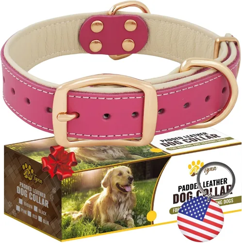 Miniatura 17 de ADITYNA Collar de perro de cuero rosa resistente para perros grandes, forrado con cuero suave, collar de perro para caminar, entrenar y senderismo