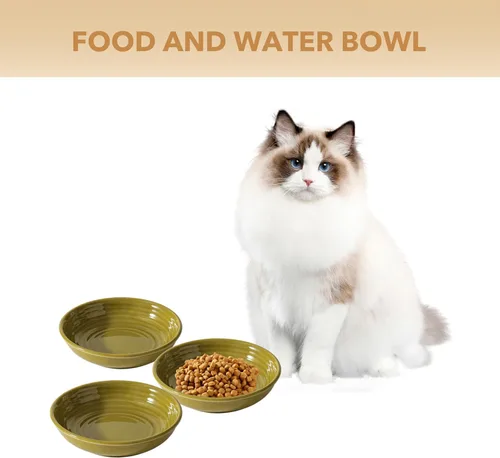 Miniatura 4 de Havniva Platos de cerámica anchos para gatos con protección para bigotes, juego de 3 tazones de cerámica para gatos, plato antideslizante para Verde