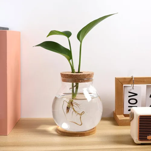 Miniatura 8 de Balacoo Pescadera hidropónica de escritorio, pecera de vidrio transparente con cojín de bambú y tapa de madera, pequeñas plantas de peces betta