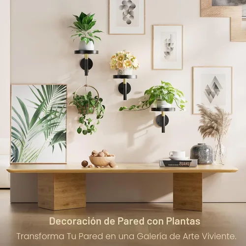 Miniatura 3 de YUOROS Paquete de 3 Soportes de Plantas de Pared, Macetas de Pared para Plantas de Interior, Estanterías Colgantes para Plantas de Ventana, Negro