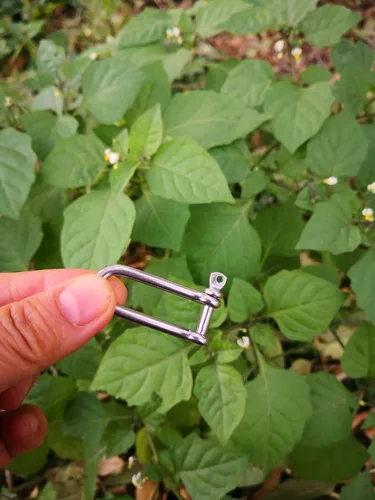 Miniatura 5 de JY-Marine - Abrazadera de carga de grillete largo en D de acero inoxidable para cadenas, cuerda de paracaídas de levantamiento de cuerda