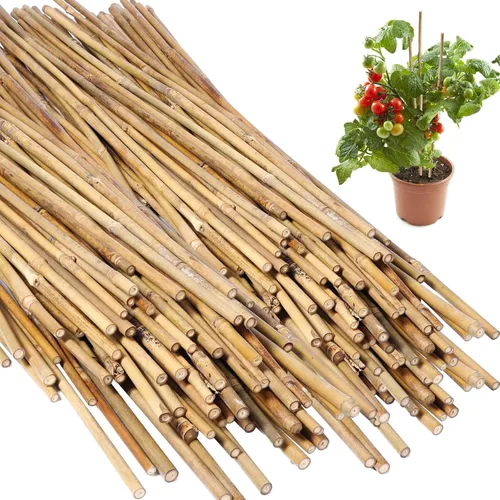 Suclain Juego de 100 estacas de bambú para plantas trepadoras, estacas de bambú resistentes para plantas trepadoras, tomates, frijoles, flores y