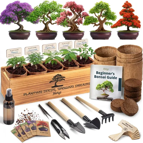 Kit de árbol bonsái clásico, 5 árboles bonzai japoneses únicos | Kits completos de inicio de bonsái de interior para árboles en crecimiento –