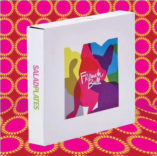 Miniatura 28 de French Bull Juego de 4 platos – Juego de 4 platos de ensalada de melamina de 9 pulgadas – Vajilla de melamina para interiores y exteriores – Foli