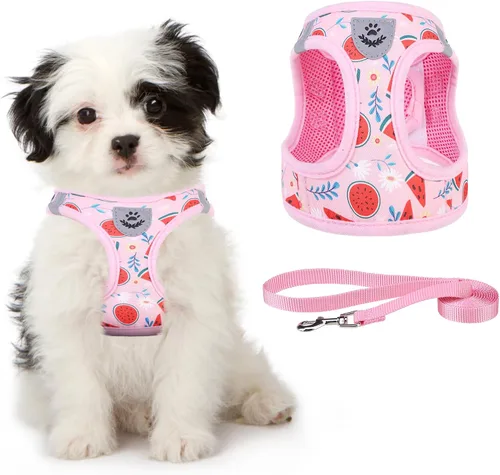 Miniatura 22 de Arnés de malla suave para cachorros – Juego de arnés y correa para perros pequeños, ajustable y cómodo chaleco reflectante acolchado para cachorros