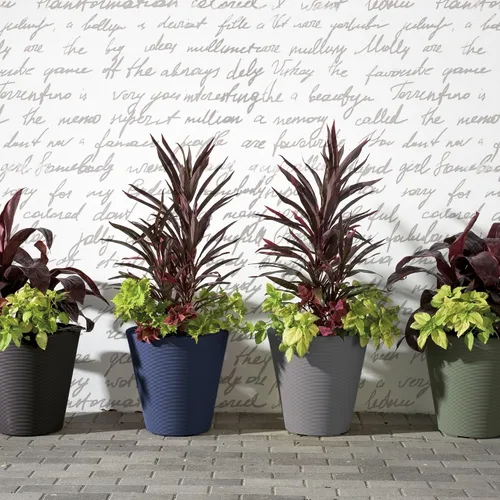 Miniatura 7 de Crescent Garden Madison Planter– Maceta resistente a la intemperie, doble pared para interiores y exteriores con orificio de drenaje, contenedor
