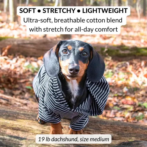 Miniatura 2 de DJANGO Sudadera con capucha para perro, cálido, ligero, suave y elástico para perro, con capucha, orificio para arnés y cintura elástica, sudadera