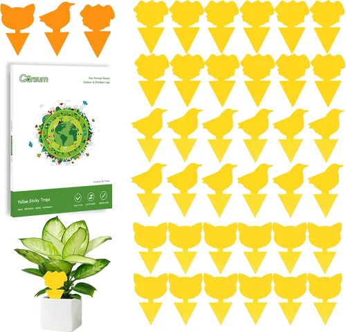 Miniatura 15 de Garsum Trampa para Moscas de la Fruta Amarilla Pegajosa 18 piezas Matamoscas de Hongos para Plantas de Interior y Exterior Atrapador de Insectos