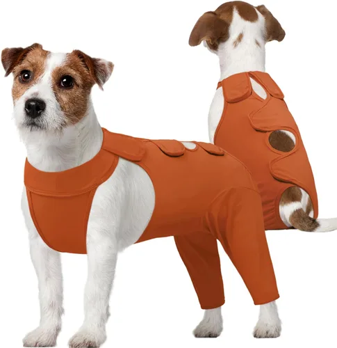 Kuoser Manga protectora para heridas en el muslo para perros - Traje de recuperación de cirugía para perros para piernas traseras - Marrón XS Verde